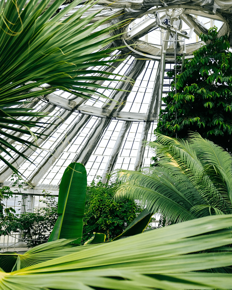 Kew Gardens